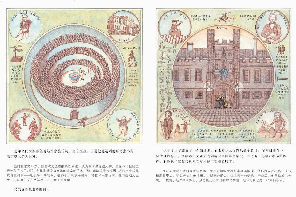 生命之树 (06),绘本,绘本故事,绘本阅读,故事书,童书,图画书,课外阅读